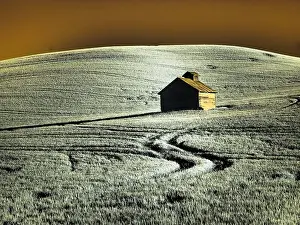 Wheat: USA, Washington State, Palouse region, Old barn