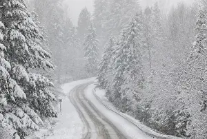 Darrell: USA, Washington State, Preston. Winters snow fall