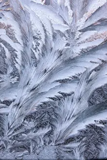 Window: USA, Washington State, Sammamish. Frost on auto window