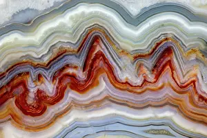 Line: USA, Washington State, Sammamish. Close-up of crazy