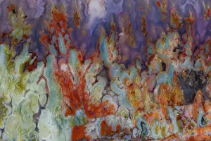 Agate: USA, Washington State, Sammamish. Close-up details