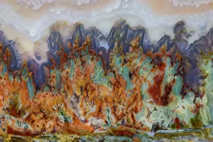Agate: USA, Washington State, Sammamish. Close-up details