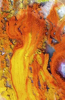 Flame: USA, Washington State, Sammamish. Close-up pattern
