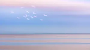 Canal: USA, Washington State, Seabeck. Pastel sunrise panoramic