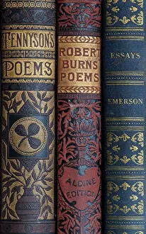 Classic: USA, Washington State, Seabeck. Spines of classic books