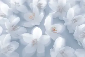 Jaynes Gallery: USA, Washington State, Seabeck. Japanese snowbell blossoms