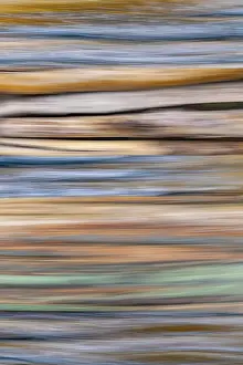 Aqua: USA, Washington State, Seabeck. Abstract of tree