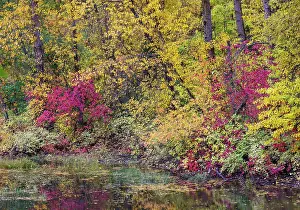 Darrell: USA, Washington State, small pond near Easton surrounded