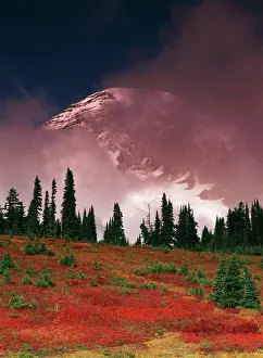 Rainier: USA, Washington State, View of Mt. Rainier