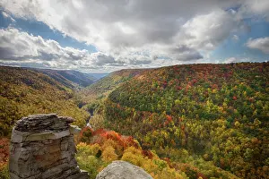 Blackwater: USA, West Virginia. Canaan Valley. Blackwater