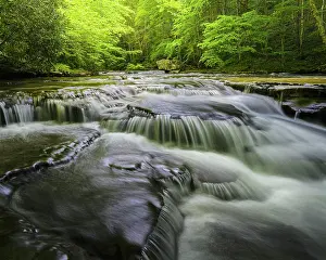 Danita Delimont: USA, West Virginia, New River Gorge National Park. Landscape