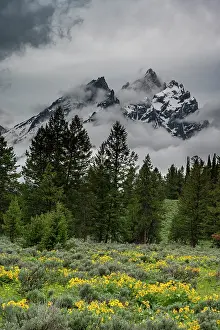 Wyoming: USA, Wyoming. Cathedral view of Mount Teewinot, Grand Teton