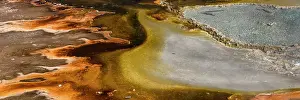 Yellowstone: USA, Wyoming. Colorful abstract designs of hydrothermal