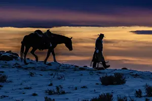 Model: USA, Wyoming. Hideout Horse Ranch, wrangler and