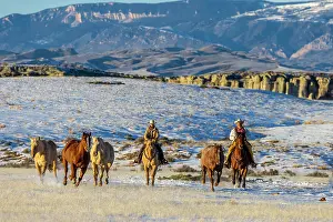 Model: USA, Wyoming. Hideout Horse Ranch, wranglers and