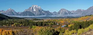 Teton: USA, Wyoming. Mount Moran and autumn aspens at the
