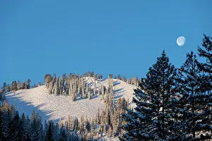 Tracks: USA, Wyoming. Ski tracks in powder and full moon