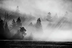 Beam: USA, Wyoming, Yellowstone National Park. Early morning