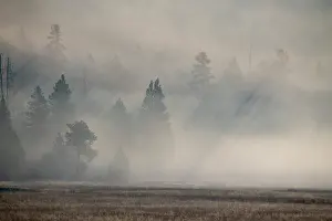 Beam: USA, Wyoming, Yellowstone National Park. Early morning