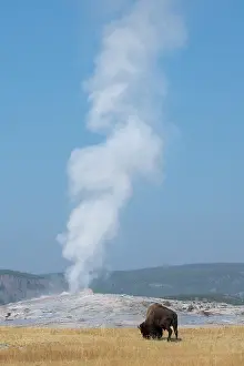 Basin: USA, Wyoming, Yellowstone National Park, Upper Geyser