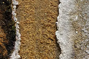 Basin: USA, Wyoming, Yellowstone National Park, Black Sand