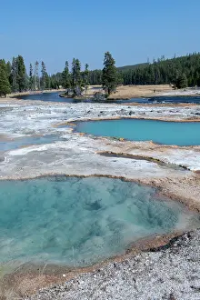 Aqua: USA, Wyoming, Yellowstone National Park, Biscuit