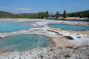 Aqua: USA, Wyoming, Yellowstone National Park, Biscuit