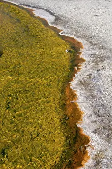 Basin: USA, Wyoming, Yellowstone National Park, Biscuit
