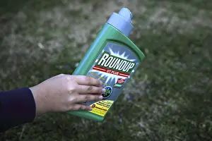 Lifting: Use of Glyphosate (Roundup) weed killer in a garden