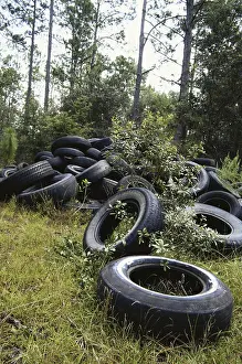 Garbage: Used Tires Illegally Dumped in Forest