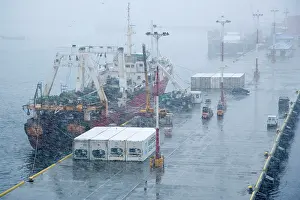 Unloading: Ushuaia dock unloading fish in snow storm