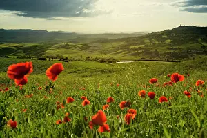 Tuscany: Val d Orcia, Orcia Valley, UNESCO World Heritage Site