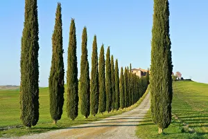 D Orcia: Val d'Orcia, Siena Province, Siena, Tuscany