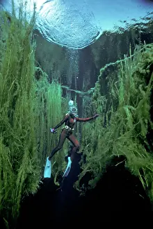 Sinkhole: Valerie Taylor - With freshwater weeds in near