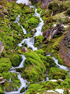 Famous: Vallesinella Falls, Cascate Alte, an icon of the