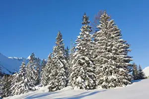 Garmisch: Valley Gaistal with snow during deep winter