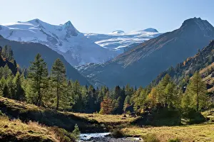 Larix: The valley Innergschloess with European