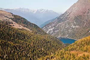 Larix: The valley Martelltal with lake Zufrittsee