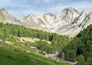 Alpe: Valley Pfossental (Val di Fosse) between