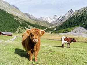 Alpe: Valley Pfossental (Val di Fosse) between