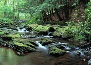 Delaware: Van Campens Glen, New Jersey