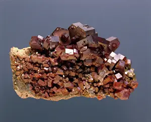 Chloride: Vanadinite Crystals