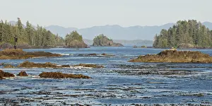 Freedman: Vancouver Island. Ocean and island view
