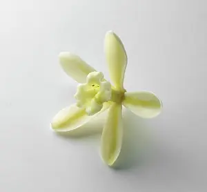 Planifolia: Vanilla