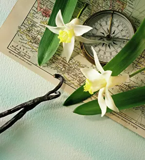 Compass: Vanilla