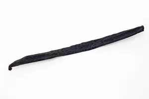 Pods: Vanilla Bean