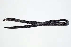 Beans: Vanilla Beans