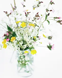 Identified: varieties not identified