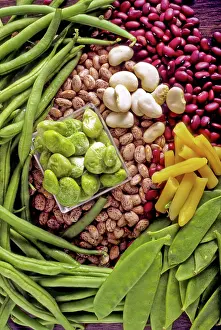 Kidney: Variety of Beans