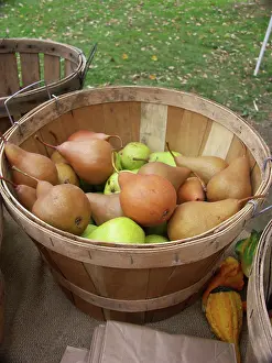Pears: Variety of Pears